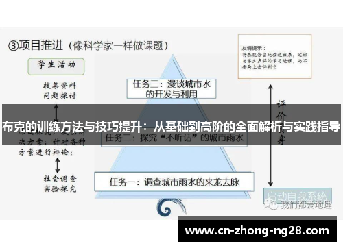 布克的训练方法与技巧提升：从基础到高阶的全面解析与实践指导